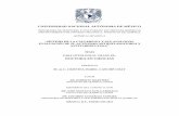 UNIVERSIDAD NACIONAL AUTÓNOMA DE MÉXICOrdu.iquimica.unam.mx/bitstream/20.500.12214/687/1/... · M. P. Orta (Análisis elemental). ... Gaby Torres por los consejos, los comentarios