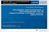 Glutatión peroxidasas y tiorredoxinas en la leguminosa modelo … · 2020. 4. 27. · 2016 157 Ana Saiz Rodríguez Glutatión peroxidasas y tiorredoxinas en la leguminosa modelo