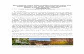 Nueva floración masiva de la Caña Colihue (Chusquea culeou ... · vez, se resumen los antecedentes de floraciones anteriores en la Patagonia en los últimos 12 años. La Caña Coligue