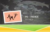 P5 - PEIXOS - XTEC · 2017. 10. 17. · EQUIP DE MESTRES P3 – Cargols: Sara P4 – Ocells: Cecilia P5 – Peixos: Bet Música: Dani i Manel Anglès: Asun Reforç amb Anglès: Eva