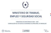 Ministerio de Trabajo, Empleo y Seguridad Social...10 Analistas de sistemas 1,80% 54 11 Especialistas en políticas y servicios de personal y afines 1,80% 54 12 Empleados de servicios