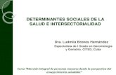 DETERMINANTES SOCIALES DE LA SALUD E INTERSECTORIALIDAD · 2020. 3. 10. · CONTENIDOS: 1. Antecedentes y conceptualización. 2. Clasificación y niveles de análisis. 3. Determinantes