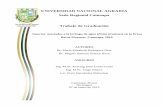 UNIVERSIDAD NACIONAL AGRARIA Sede Regional Camoapa …repositorio.una.edu.ni/2765/1/tnh10r696i.pdf · 2015. 3. 16. · ASBTRAC ix I.INTRODUCCIÓN 1 II.OBJETIVO 4 III.MATERIALES Y