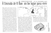 A Enseada do bao, un bo lugar para vivir Enseada do bao... · 2013. 6. 23. · Cambados e da Illa de Arousa, onde se alimenta dos restos de ameixas e berberechos mortos co- mo consecuencia