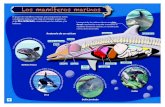 Inicio | Fundación Empresas Polar - Los mamíferos marinosbibliofep.fundacionempresaspolar.org/media/219652/09_los... · 2017. 2. 2. · León marino Foca. El otro de los grandes