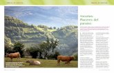 Asturias: Placeres del paraísolaturisteca.es/archivo/docs/32.pdfde la alubia asturiana queda refleja-do en el éxito de su plato estrella: la fabada. Pero la faba permite un sinfín