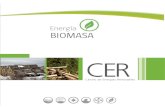 Energía BIOMASA · La bioenergía se define como la energía obtenida a partir de la biomasa y sus derivados, ya sea electrica, mecánico o térmica. La conversión energética de