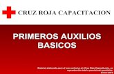 PRIMEROS AUXILIOS BASICOSbiblioteca.esucomex.cl/RCA/Primeros auxilios básicos.pdf · 2017. 8. 3. · PRIMEROS AUXILIOS BASICOS Material elaborado para el uso exclusivo de Cruz Roja