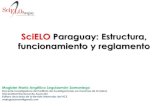 SciELO Paraguay: Estructura, funcionamiento y reglamento · 2020. 5. 20. · 1. Mención del cuerpo editorial 2. Contenido 3. Antigüedad mínima de 1 año 4. Identificación de los