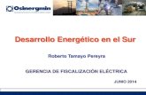 Desarrollo Energético en el Sur...Machupicchu – Abancay – Cotaruse en 220 kV - LT. Moquegua – Los Héroes en 220 kV Nuevos Proyectos de Generación CH. Machupicchu II En ejecución.