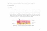 Capítulo 2: La dermatología y El procesamiento de imágenes.catarina.udlap.mx/.../documentos/lis/reyes_l_g/capitulo2.pdf2.4 Procesamiento de Imágenes Para comenzar este capitulo