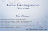 Examen Físico Segmentario - Colegio Fernando de Aragón...2020/09/03  · AL EXAMEN. INFORMAR AL PACIENTE OBJETIVO DEL EXAMEN DURACIÓN, CÓMO SE REALIZARÁ Y ELEMENTOS A UTILIZAR