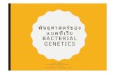 Lecture Bacterial genetics - Maejo University · 2017. 6. 27. · Microsoft PowerPoint - Lecture Bacterial genetics [Compatibility Mode] Author: GGG Created Date: 6/27/2017 12:51:10