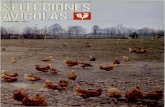 FEBRERO 1991 - UAB Barcelona · 2011. 9. 12. · COORDINADORA NACIONAL AVICOL~ Empresa líder en el mercado del pollito Extensa red comercial CONCENTRE AOUI SUS OFERTAS Y DEMANDAS