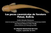 Los peces cavernícolas de Torotoro Potosí , Bolivia · 2018. 1. 7. · Tarapoto, septiembre de 2016. Contenido • La única especie de pez cavernícola de Bolivia • Sus adaptaciones