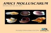Número 25(1-2), año 2017 · 2018. 3. 9. · Número 25(1-2), año 2017 Sociedad Malacológica de Chile. AMICI MOLLUSCARUMAMICI MOLLUSCARUM NNúúmmereroo Número 2Número 2225555((((1111----2222)))),