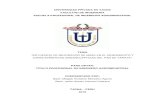 UNIVERSIDAD PRIVADA DE TACNA FACULTAD DE INGENIERIA ESCUELA PROFESIONAL DE …repositorio.upt.edu.pe/bitstream/UPT/1314/1/Montalvo... · 2020. 10. 16. · UNIVERSIDAD PRIVADA DE TACNA.