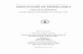 UNIVERSIDAD DE MAGALLANESumag.cl/biblioteca/tesis/chavez_godoy_2011.pdf · Por otro lado, se averiguaron las reparaciones y protecciones necesarias para las lesiones investigadas