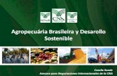 Agropecuária Brasileira y Desarollo Sostenible 2 - Camila Sande...2017/03/21  · Cronología del desarrollo agrícola en Brasil Stage 1 Stage 2 Stage 3 Source: EMBRAPA José Eustaquio