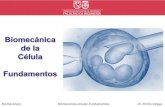 Biomecánica Biomecánica celular-Fundamentos Dr. Emilio Vargas · 2020. 11. 19. · Biomecánica Biomecánica celular-Fundamentos Dr. Emilio Vargas Definiciones Biomaterial, definido