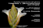 Tillandsia L. (Bromeliaceae)...andinas de Perú, Ecuador y Colombia; y México y la zona adyacente de América Central (Smith & Downs 1974, Zizka et al. 2009, Givnish et al. 2011,