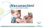 ¡Vacunación! - hospitalguarne.com · 2017. 12. 19. · Tosferina dPaT 1 dosis Difteria, tosferina, tétanos (Semana 26) Influenza Antigripal 1 dosis Influenza (Semana 14) Influenza