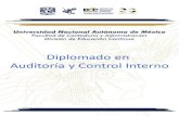 Diplomado en Auditoría y Control Internodec.fca.unam.mx/programacion/interno/temario_v2.pdf · Presupuesto Basado en Resultados, Control Interno, Planeación Estratégica, Derecho
