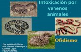 Intoxicación por venenos animalesVenenos animales Son secreciones producidas por un animal específico para emponzoñamiento de otras especies o individuos mediante un mecanismo de