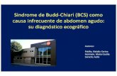 Sindrome de Budd-Chiari (BCS) como causa infrecuente de ......Sindrome de Budd-Chiari (BCS) como causa infrecuente de abdomen agudo: su diagnóstico ecográfico Autores: Patiño, Natalia