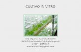 CULTIVO IN VITRO DE TEJIDOS - UNLP...cultivo de tejidos vegetales Obtención de plantas libres de patógenos (cultivo de meristemas, quimioterapia y termoterapia) Conservación de