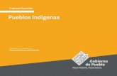 Pueblos Indígenas · 2020. 7. 30. · Programas Especiales Pueblos Indígenas 4 Aunado a ello, alude la recolección de las demandas ciudadanas, a través de los mecanismos establecidos