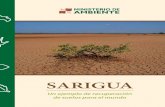 SARIGUA - Sustancia Infinita · 2020. 1. 20. · piedra. En Sarigua se han descubierto importantes restos arqueológicos, que corresponden a un asentamiento humano de pescadores y