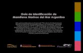 Guía de Identificación de Guía de Identificación de ... › wp-content › uploads › 2018 › 05 › Guia-de-mamíferos-2016.pdfMamíferos Marinos del Mar Argentino. Esta guía