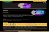 Schneider Lamina ASP-98 · 2020. 8. 6. · Modelo Potência (cv) Monofásico Ø Sucção (pol.) Ø Recalque (pol.) Pressão máxima sem vazão ... 7 Kit o-ring 2015 - 1 5 8720319101A