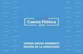 SEREMI MEDIO AMBIENTE REGIÓN DE LA ARAUCANÍA · 2019. 6. 24. · Criterios para otorgamiento de concesiones en Áreas protegidas del Estado. ... Norma Secundaria Lago Villarrica