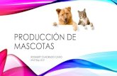 Producción de mascotas · 2015. 6. 1. · La mascota debe estar identificada con un microchip que cumpla con la norma ISO 11784 y aplicar la tecnología HDX o FDX-B, y poder ser