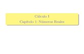 Universidad de Granada - C´alculo I Cap´ıtulo 1: Nume´ ros ...rpaya/documentos/CalculoI/2011-12/CalcCap1.pdf1 Deﬁnicion de R Axiomas de cuerpo Axiomas de orden Valor absoluto