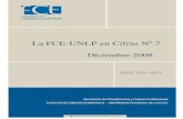 La FCE-UNLP en Cifras-Diciembre 2008...La FCE-UNLP en Cifras – Diciembre 2008 6 Cargos Docentes ad-Honorem - Año 2008 Titulares 14 6.4 Asociados 1 0.5 Adjuntos 19 8.6 Jefe de Auxiliares