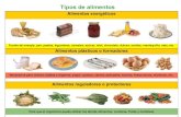 Tipos de alimentos - Gobierno de Canarias · 2020. 2. 17. · Rueda de los alimentos GRUPO I GRUPO II GRUPO III GRUPO IV GRUPO V GRUPO VII GRUPO VI. Alimentos plásticos Leche y derivados