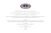 UNIVERSIDAD NACIONAL DE CHIMBORAZO FACULTAD DE …dspace.unach.edu.ec/bitstream/51000/5948/1/UNACH-EC-FCP... · 2019. 9. 24. · vigente en el año de estudio LORTI, su reglamento