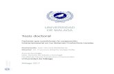 UNIVERSIDAD DE MÁLAGA - COnnecting REpositories · 2020. 2. 19. · cooperación interempresarial en los Sistemas Productivos Locales y para ello hemos optado por analizar el SPL