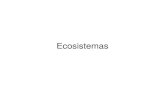 Ecosistemas - Recinto Universitario de Mayagüez · 2009. 5. 12. · • Un ecosistema es una comunidad de organismos que se interconectan entre sí y con el ambiente físico por
