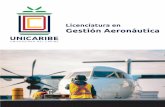 Licenciatura en Gestión Aeronáutica · 2020. 12. 30. · neg-108 etica en los negocios 2 fgc-110 gae-331 gestion de la calidad en el sector aeronautico 3 gae-311 gae-332 contabilidad