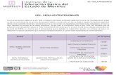 OE2.- CEDULAS PROFESIONALES...OE2.- CEDULAS PROFESIONALES OE2.- CEDULAS PROFESIONALES Como es del dominio público en el año 1992, el Gobierno del Estado de Morelos celebró el Convenio