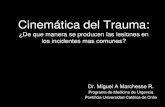 Cinemática del Trauma · Chile 2003 REGIÓN Muertos Graves M. Graves Leves Total lesionados Total Accid. I Tarapacá 66 237 208 1.556 2.001 1.423 II Antofagasta 59 322 262 1.351