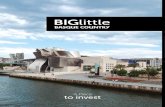 BIGlittle - SPRI...BIGlittle Basque Country expresses the strength and energy of this region with a natural inclination to take on the most complex challenges. A big little7 The Basque