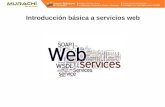 Introducción básica a servicios web · Subrutinas, funciones o procedimientos que ofrece una biblioteca utilizados por otro software como una capa de abstracción (wikipedia) API: