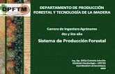Sistema de Producción Forestal · 2020. 2. 10. · Departamento Forestal - Sistema de Producción Forestal - • Investigacióncientífica • Extensión en las ciencias forestales