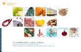 La mediterrània: cuina i cultura - Reus...5 La mediterrània: cuina i cultura Un projecte de recerca transversal i competencial per a 4t d’ESO I Premi a la Recerca i la Innovació