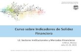 Curso sobre Indicadores de Solidez Financiera€¦ · L2. Sectores Institucionales y Mercados Financieros. CEMLA, Mexico. Julio 15-19, 2019. Curso sobre Indicadores de Solidez Financiera